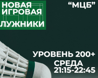 Аренда корта в Лужниках